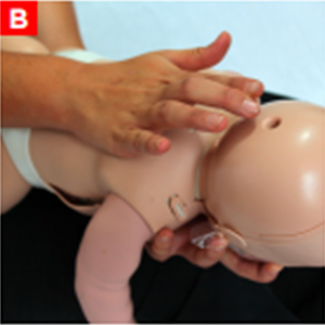 bls_figure17b