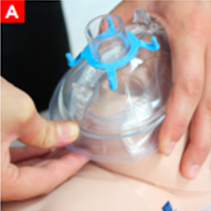 bls_figure5a