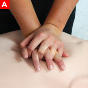 bls_figure6a