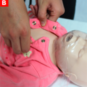 pals_figure10b
