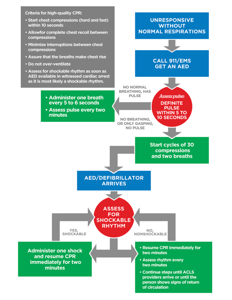 Adult BLS Algorithm - ACLS Online Handbook