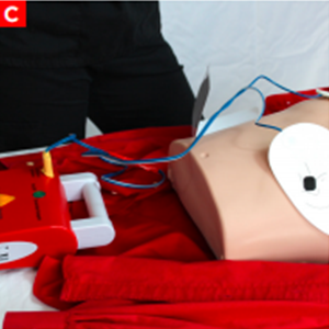 cpr_figure17c