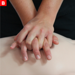 cpr_figure19b