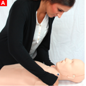 cpr_figure23a