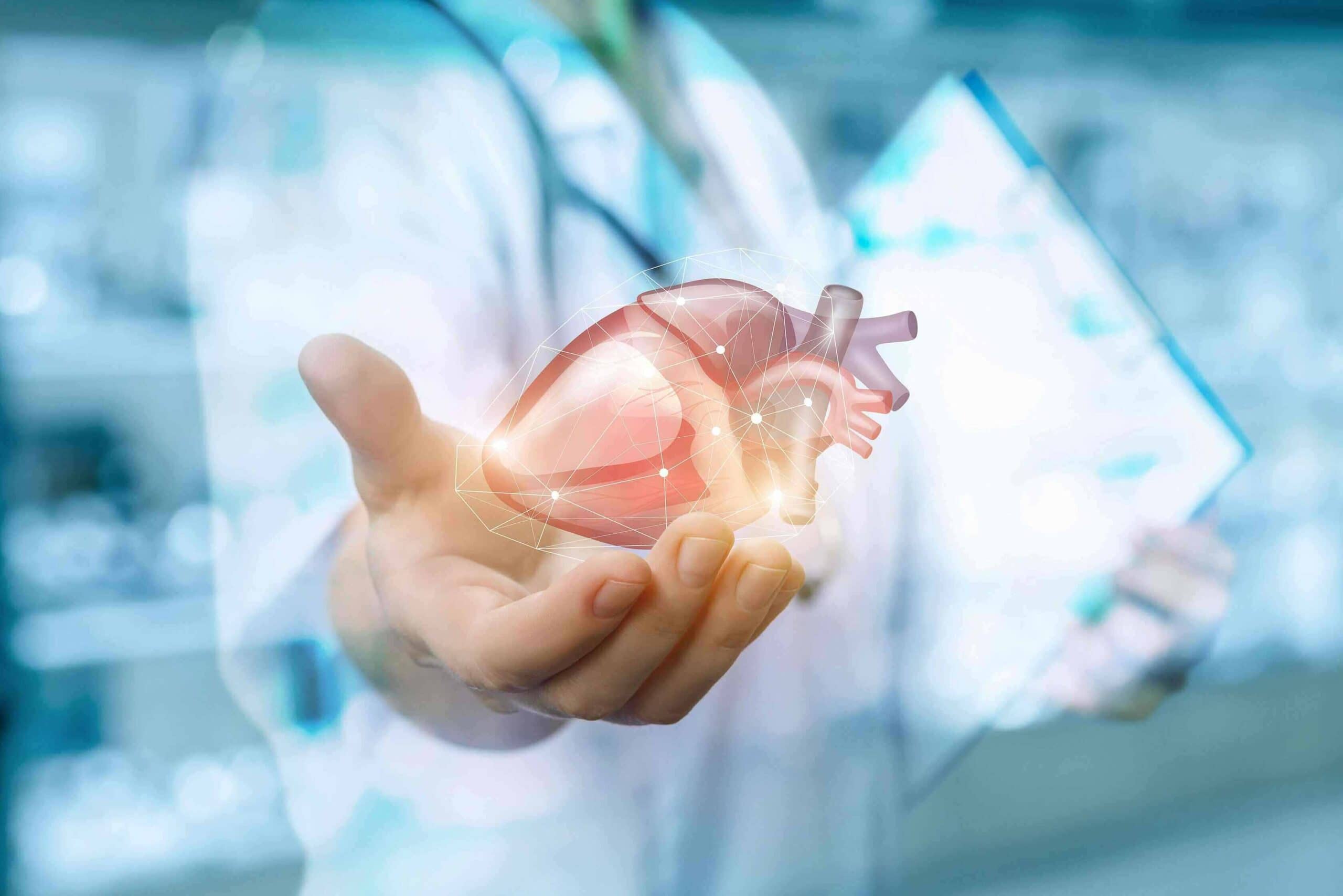 Holographic model of a human heart, symbolizing heart health and rhythm analysis